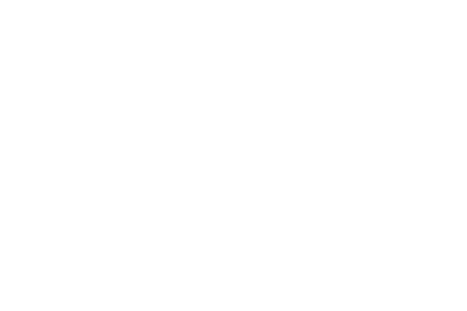 Logo White