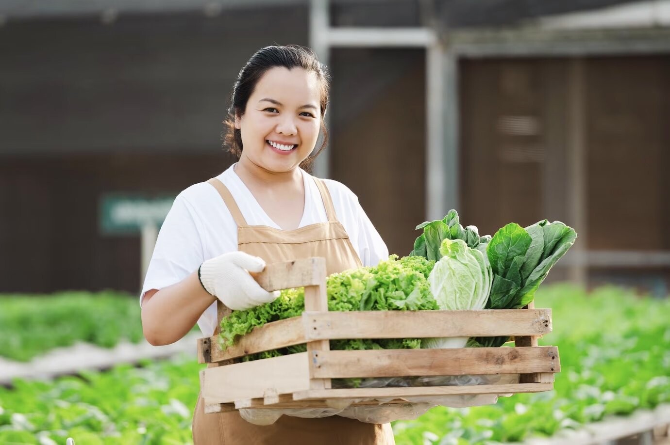 Nông nghiệp xanh, sạch và bền vững là sứ mệnh hoạt động của KLC Agri.
