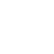 Vector