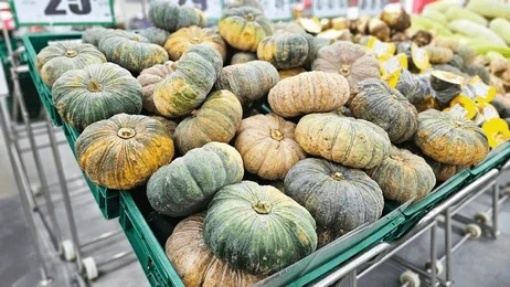 Bí đỏ tròn KLC Agri được trưng bày tại các hệ thống siêu thị và cửa hàng bán lẻ