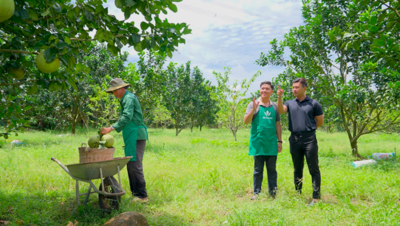 Shark Lê Đăng Khoa khảo sát vùng trồng cùng nông dân KLC Agri